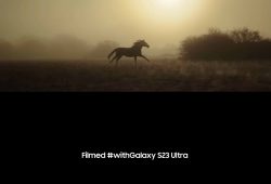 Samsung Galaxy S23 cortos