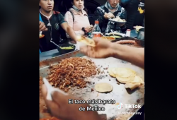 Tacos 1 peso