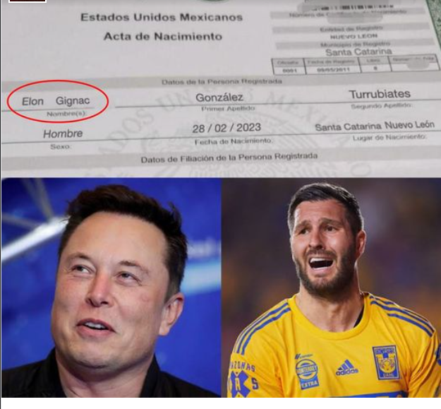 They register a child in honor of the creator of Tesla and Tigres player "fanaticism or success"