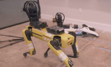Integran ChatGPT a perro robot y ahora puede responder preguntas