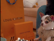 Perro millonario recibe lujoso regalo Louis Vuitton desde París