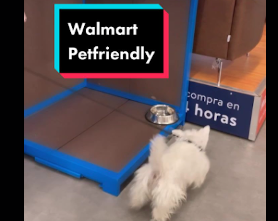 Ahora los perros pueden viajar en los carritos de Walmart