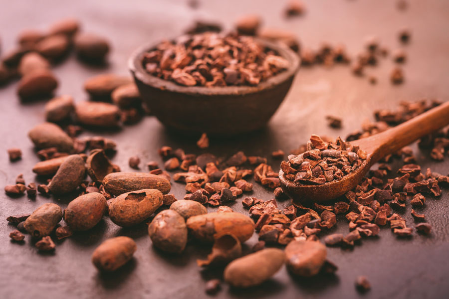 Cacao Mondelez