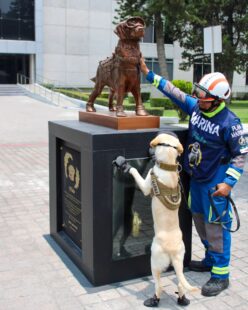 En esta foto compartida por la Marina se puede apreciar a Maya en el monumento que la Armada tiene dedicado a Frida. Foto: Instagram SEMAR