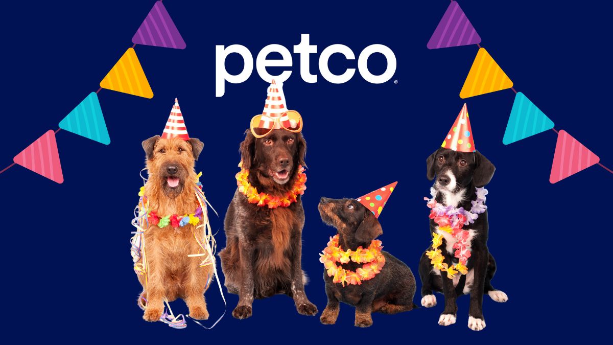 10 aniversario petco