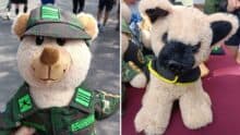 OSO DE PELUCHE PERRO PROTEO SEDENA EJERCITO MEXICANO