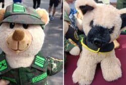 OSO DE PELUCHE PERRO PROTEO SEDENA EJERCITO MEXICANO