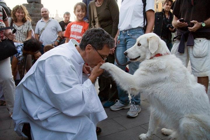dia mundial de los animales sacerdote besa patita de un perro