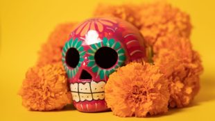 Day of the Dead: Why are marigolds used for Dia de los Muertos ...