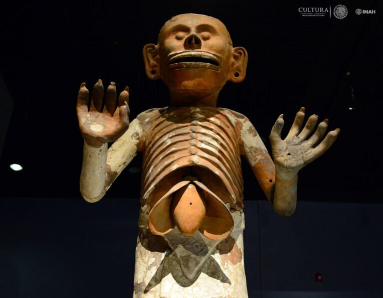 Mictlantecuhtil, estatua en exhibición en el Museo de Templo Mayor