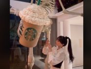 Así puedes crear un vaso de Starbucks gigante para decorar tu hogar