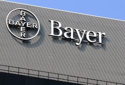 Google y Bayer se unen para alcanzar a sus públicos objetivos