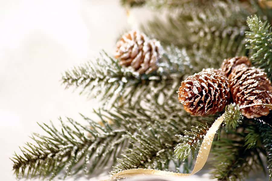 Navidad