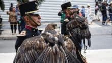 desfile militar 20 de noviembre sedena Laura ISLAS