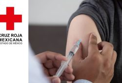 Cruz Roja aplicará vacuna Covid Pfizer. Fecha de aplicación y costo Foto: Especial