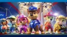 juguetes paw patrol libro colorear jumbo