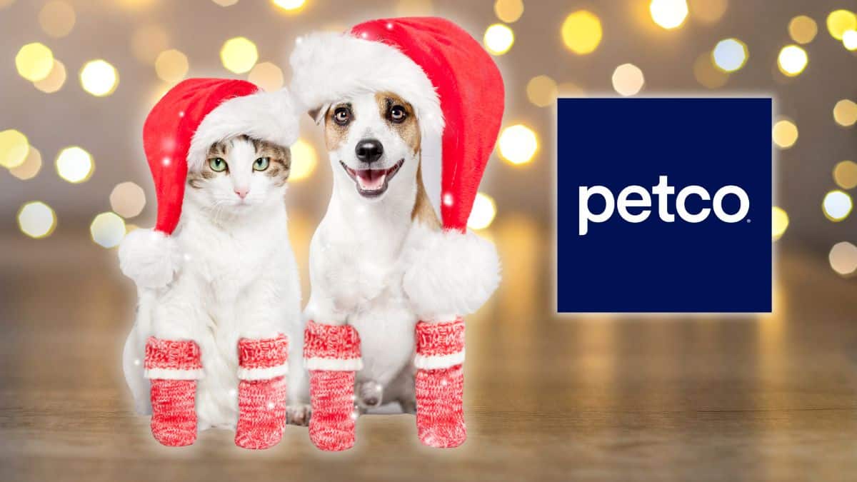 pasarela de disfraces navidad mascotas petco