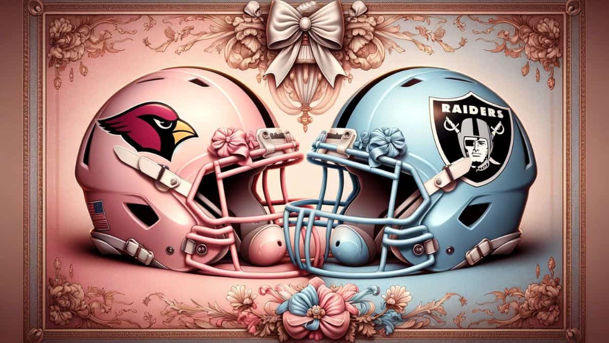 equipos de la NFL COQUETTE