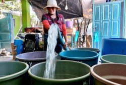 agua en tu colonia sacmex cdmx 2024