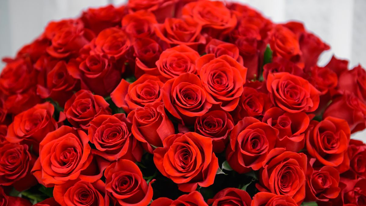 Ideas para San Valentín: El bouquet de rosas de Lego desde 349