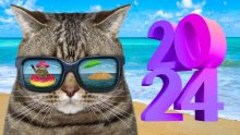 vacaciones dias festivos 2024 calendario días de descanso obligatorio