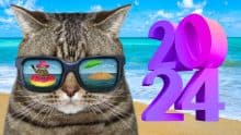 vacaciones dias festivos 2024 calendario días de descanso obligatorio