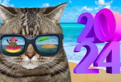 vacaciones dias festivos 2024 calendario días de descanso obligatorio