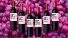 vino tinto finca las moras malbec