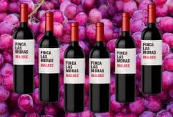 vino tinto finca las moras malbec