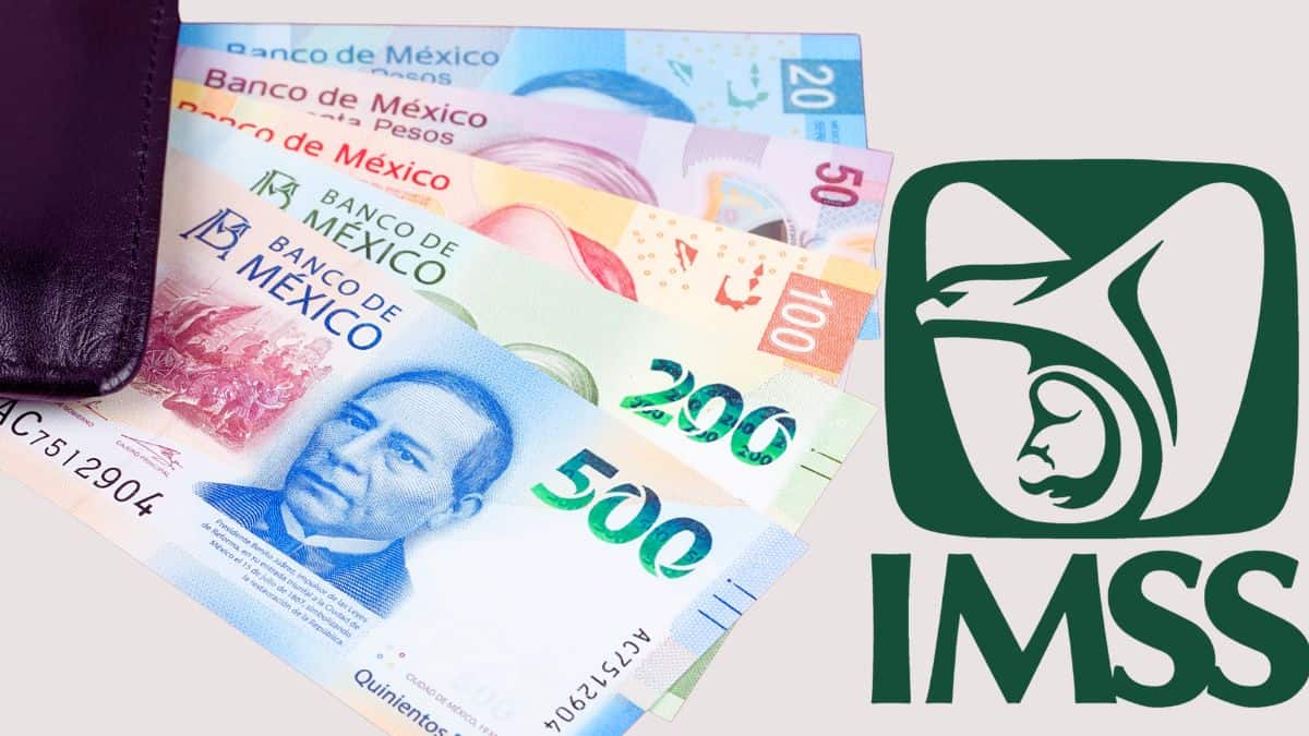 Pago pensión IMSS marzo 2024. ¿Cuándo depositan? Foto: Especial