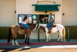 Women on Horseback Surprise at Starbucks Drive-Thru