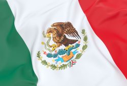 mexican flag bandera de mexico 24 de febrero dia de la bandera