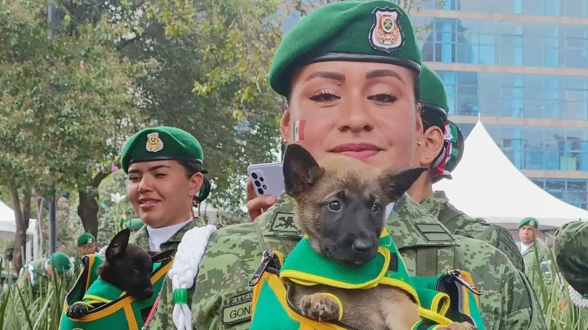 DÍA DEL EJÉRCITO MEXICANO. FOTO: LAURA ISLAS | MERCA2.0