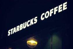 ¿Qué colección Starbucks saldrá el 26 de febrero? Foto: Especial
