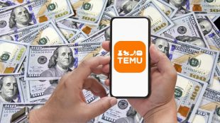 Who Owns Temu And What Is Its Parent Company Revista Merca2 0   Temu 310x174 