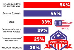 Gráfica del día: Los temas clave para los latinos en las elecciones de EE. UU.