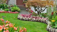 Estos son los consejos RE/MAX para cuidar tu jardín en la primavera Foto: Especial