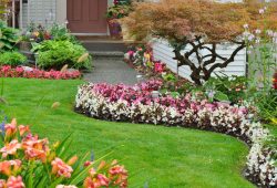 Estos son los consejos RE/MAX para cuidar tu jardín en la primavera Foto: Especial