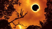 Eclipse solar 8 de abril Edomex. ¿A qué hora inicia y cómo se verá? Lista de municipios Foto: Especial