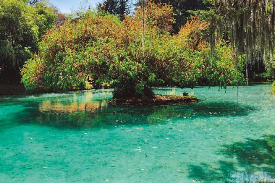 Agua Sta María
