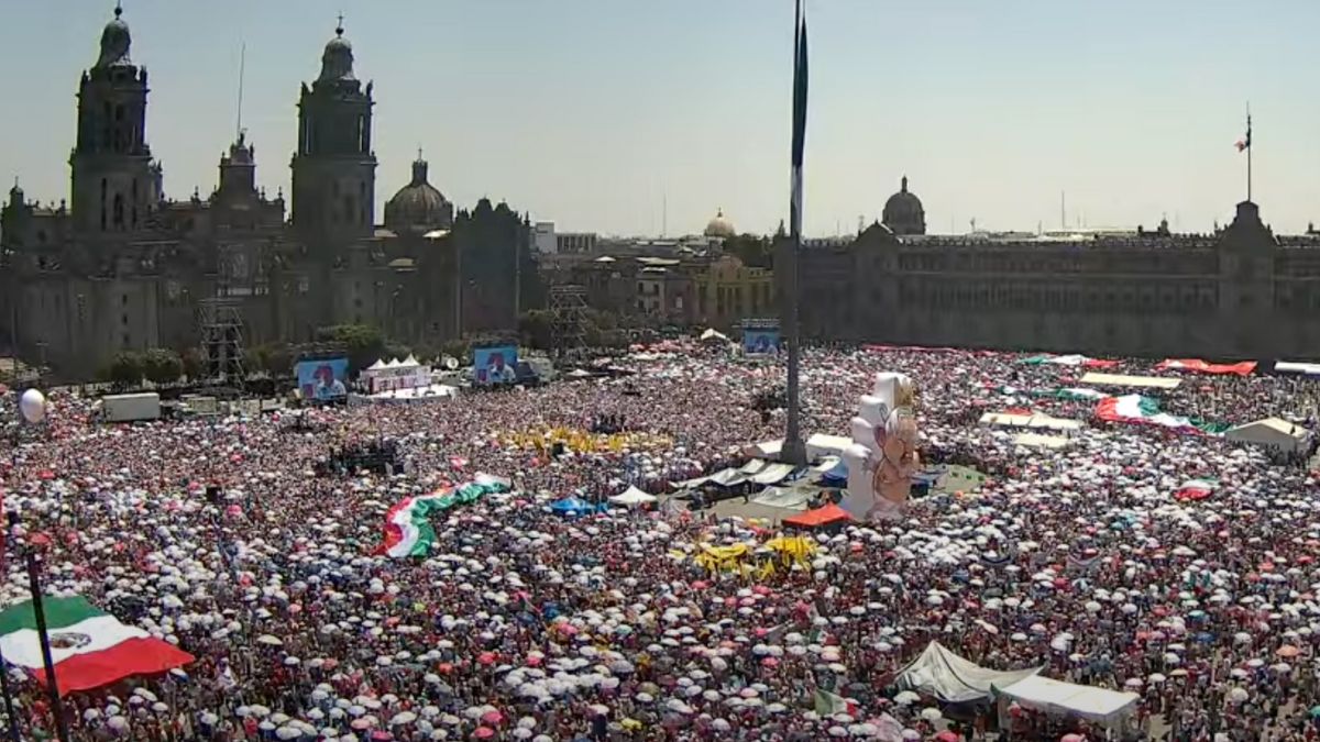 Marcha Marea Rosa CDMX 2024. ¿Cuántas personas caben en el Zócalo? Foto: Especial