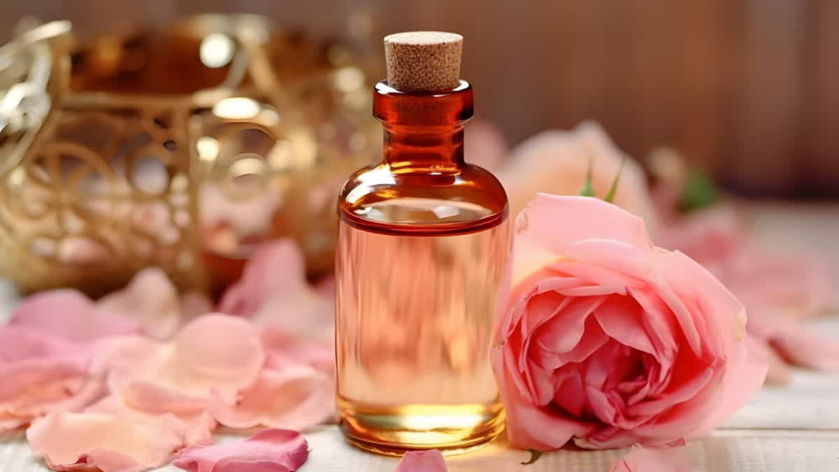 perfumes para mujer regalos dia de las madres 10 de mayo