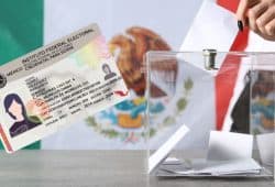 Elecciones 2024. Aquí puedes consultar si tu credencial de elector está vigente Foto: Especial