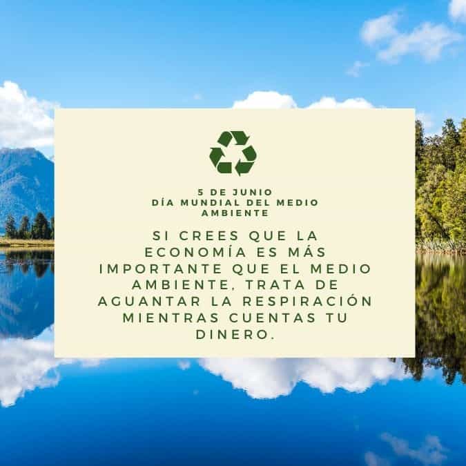 IMÁGENES DEL DÍA MUNDIAL DEL MEDIO AMBIENTE - 5 DE JUNIO