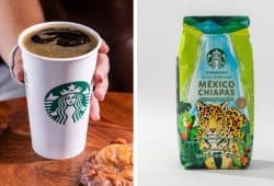 lo nuevo de starbucks chiapas