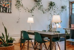 Estos son los consejos para decorar con plantas de interior tu propiedad Foto: Especial