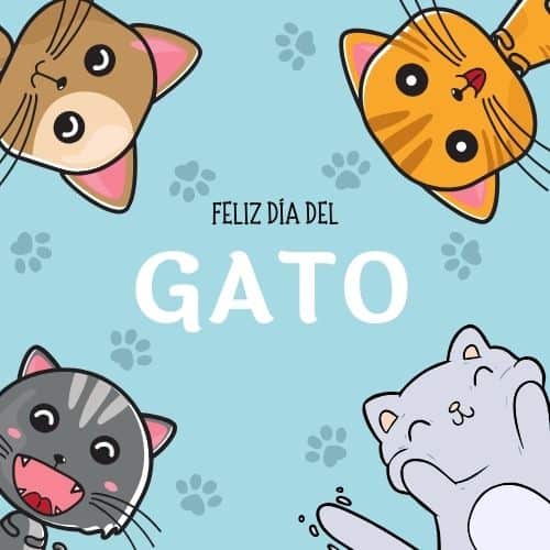 FELIZ DÍA DEL GATO