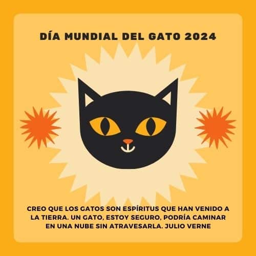 FELIZ DÍA DEL GATO