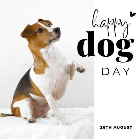 National Dog Day 2024 Images and quotes to celebrate