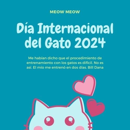 FELIZ DÍA DEL GATO